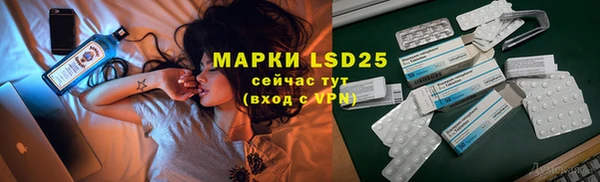 spice Алзамай
