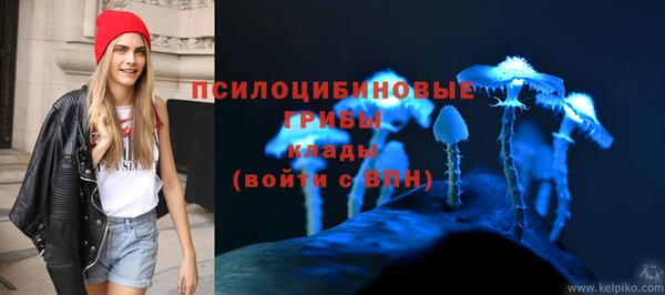 spice Алзамай