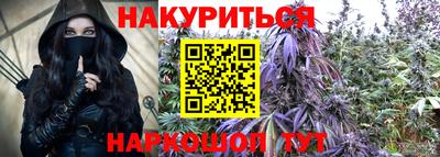 гашик Шебекино
