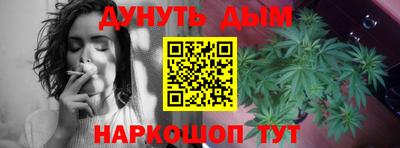 прущие крисы Шахты
