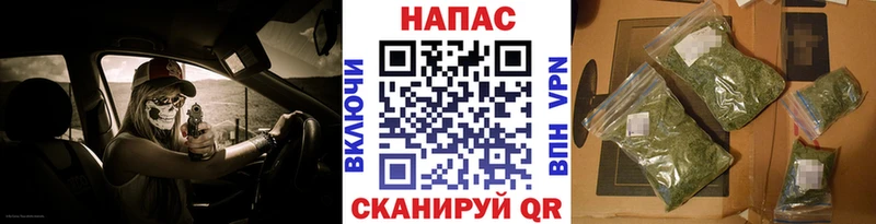 Шишки марихуана семена  купить  сайты  Бахчисарай 
